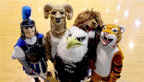 Inside the Mascot's Lair: A Day in the Life of the University of American Samo Mascot